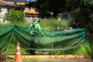 Em &ldquo;jogo de empurra&rdquo; sobre poda, mato alto domina cal&ccedil;adas da Orla Morena 