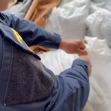 PRF apreende 1 tonelada de agrot&oacute;xico letal para abelhas e proibido no Brasil