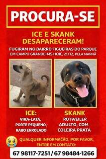 Dupla insepar&aacute;vel, Ice e Skank desapareceram no Figueiras do Parque