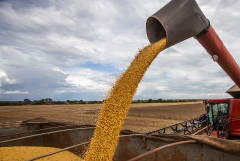 Produtor segura venda e s&oacute; 22% da soja de MS foi comercializada at&eacute; dezembro