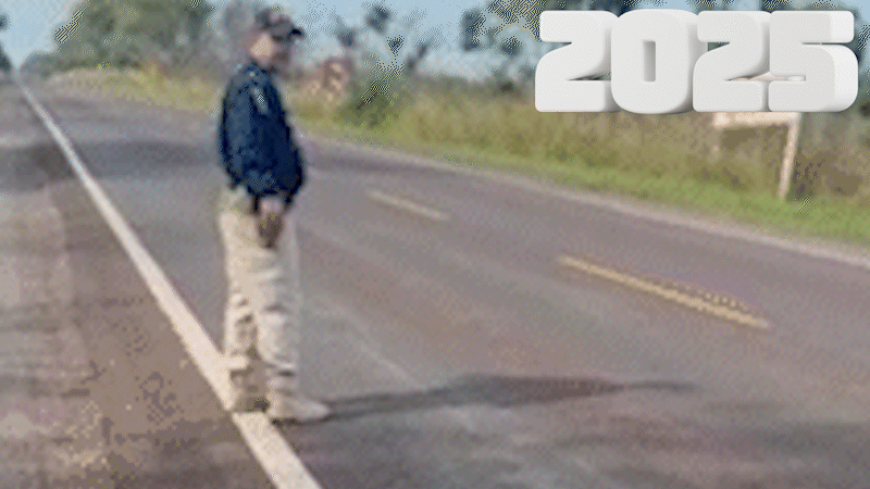 De sucuri escoltada ao pitbull resgatado, veja v&iacute;deos que viralizaram em 2025