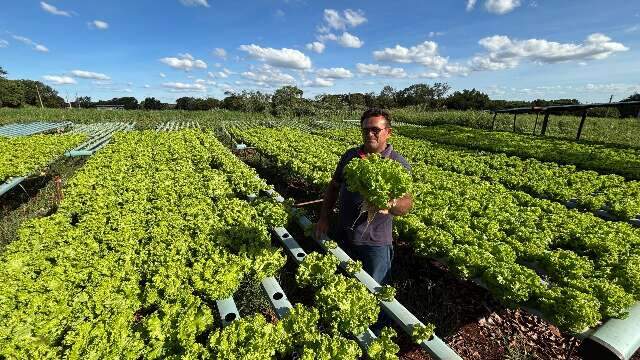 Agricultura familiar movimenta mil produtores e R$ 17 mi para chegar &agrave; merenda