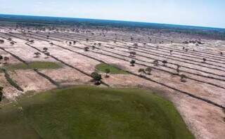 Entre seca e contamina&ccedil;&atilde;o, &aacute;gua vira o maior alerta ambiental para 2026 em MS