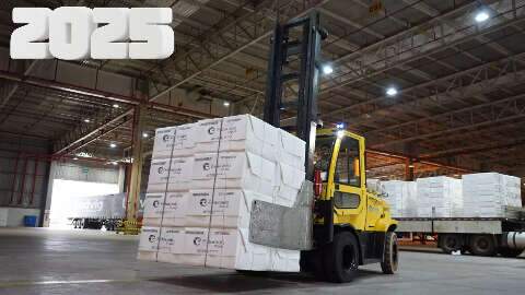 Celulose liderou e sustentou as exporta&ccedil;&otilde;es de MS em ano com susto do tarifa&ccedil;o