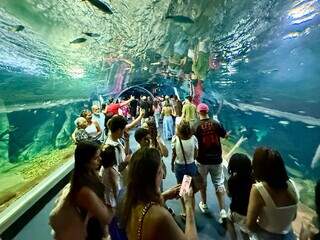 P&uacute;blico tem s&oacute; 2 dias para visitar Bioparque antes de per&iacute;odo de manuten&ccedil;&atilde;o