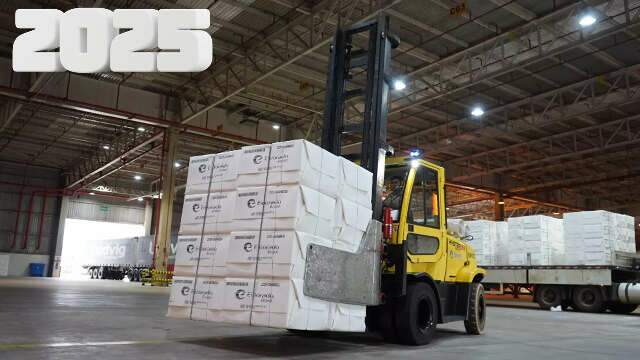 Celulose liderou e sustentou as exporta&ccedil;&otilde;es de MS em ano com susto do tarifa&ccedil;o