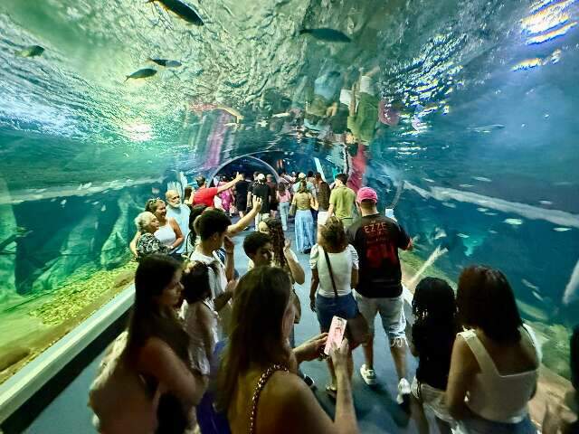 P&uacute;blico tem s&oacute; 2 dias para visitar Bioparque antes de per&iacute;odo de manuten&ccedil;&atilde;o