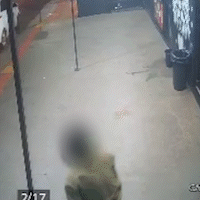 Cadela foge de casa na noite de Natal e &eacute; levada por homem desconhecido