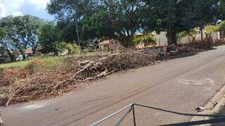 Abandonados há 1 mês, galhos de poda se acumulam em praça e atraem mosquitos Abandonados há 1 mês, galhos de poda se acumulam em praça e atraem mosquitos