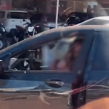 Ataque de abelhas coloca todo mundo para correr e fecha com&eacute;rcios em bairro 