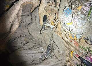 Sete s&atilde;o presos ap&oacute;s sequestro de quatro pessoas em Campo Grande