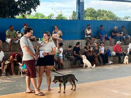 Consultas veterin&aacute;rias custeadas pela prefeitura somam cerca de 11 mil este ano