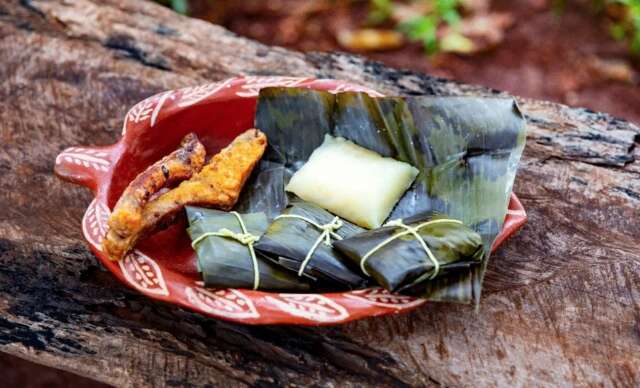 Projeto sobre nutri&ccedil;&atilde;o em aldeias encerra com lan&ccedil;amento de livro e v&iacute;deo