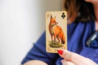 Carta da raposa revela que campo-grandense precisar&aacute; de cautela em 2026