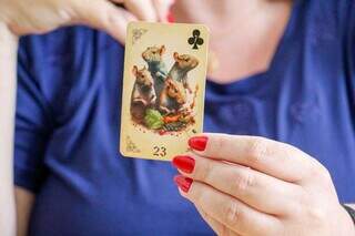 Carta da raposa revela que campo-grandense precisar&aacute; de cautela em 2026