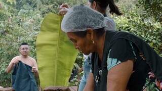 Projeto sobre nutri&ccedil;&atilde;o em aldeias encerra com lan&ccedil;amento de livro e v&iacute;deo