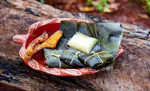 Projeto sobre nutri&ccedil;&atilde;o em aldeias encerra com lan&ccedil;amento de livro e v&iacute;deo