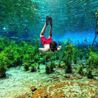 Festas de Ano Novo no interior de MS tem shows gratuitos e 