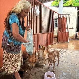 Mesmo com exposi&ccedil;&atilde;o e morte de gato, idosa segue cuidando de animais abandonados