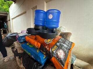 Mesmo com exposi&ccedil;&atilde;o e morte de gato, idosa segue cuidando de animais abandonados