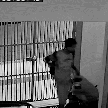 Preso homem acusado de furtos em s&eacute;rie e que j&aacute; &ldquo;limpou casa&rdquo; de dupla sertaneja