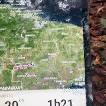 Idoso entra em mata para colher pequi e se perde por 5 horas