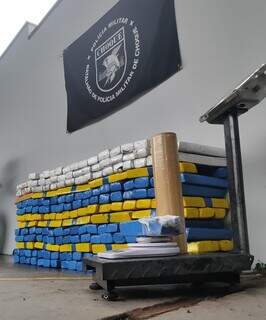 Suspeito foge e abandona 188 kg de maconha em residência no Caiobá Suspeito foge e abandona 188 kg de maconha em residência no Caiobá