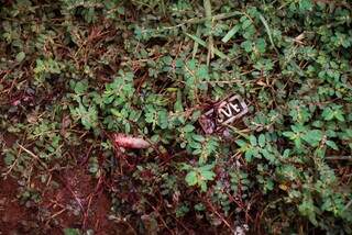 &ldquo;Seu marido t&aacute; morto aqui&rdquo;, disse testemunha para esposa de executado em carro