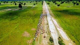 Cadastro fundiário expõe como o Pantanal mudou de dono e de uso do solo Cadastro fundiário expõe como o Pantanal mudou de dono e de uso do solo