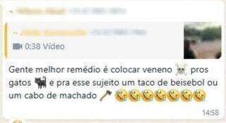 Pode colocar ração na rua? Veja quando o cuidado com animais se torna multa Pode colocar ração na rua? Veja quando o cuidado com animais se torna multa