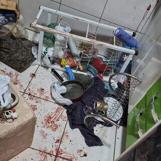 Antes do Ano-Novo, fogos ferem cachorra e tutora pede consci&ecirc;ncia