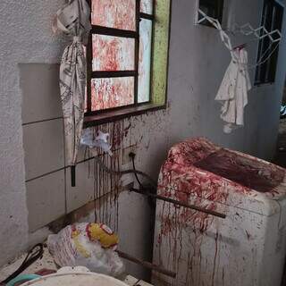 Antes do Ano-Novo, fogos ferem cachorra e tutora pede consci&ecirc;ncia