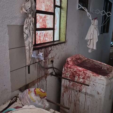 Antes do Ano-Novo, fogos ferem cachorra e tutora pede consci&ecirc;ncia