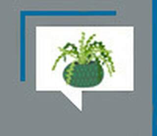 As raizadas de José Antônio Pereira e a promessa cumprida As raizadas de José Antônio Pereira e a promessa cumprida