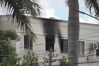 Adriana acordou com vídeos sobre incêndio e lamenta morte de gato adotado Adriana acordou com vídeos sobre incêndio e lamenta morte de gato adotado