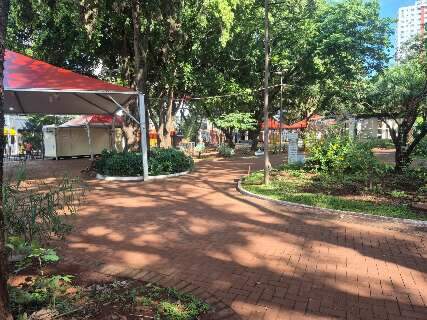 Pra&ccedil;a Ary Coelho amanhece limpa ap&oacute;s Ano-Novo, mas 14 de Julho "deixa a desejar"