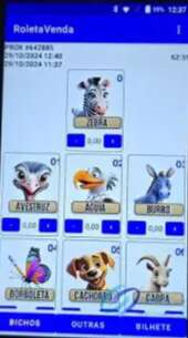 Cl&atilde; Razuk estudava importa&ccedil;&atilde;o de jogo do &ldquo;bichinho&rdquo; e expans&atilde;o internacional