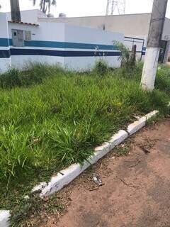 Mato alto em terreno de empresa incomoda moradores no Novos Estados