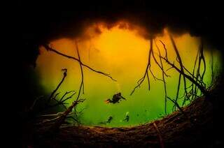 Fan&aacute;tico por oceano, Ruver virou fot&oacute;grafo subaqu&aacute;tico premiado