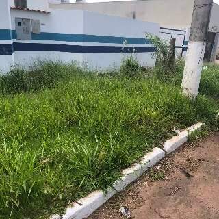 Mato alto em terreno da &Aacute;guas Guariroba incomoda moradores no Novos Estados