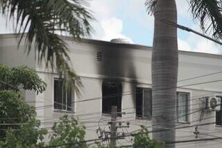 &ldquo;Desolados&rdquo;, diz cantora Adriana ao se despedir de gatinho morto em inc&ecirc;ndio