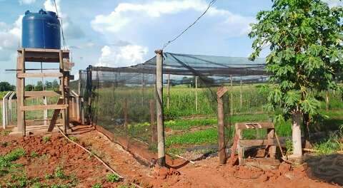 Condenados, servidores do Incra ter&atilde;o que pagar R$ 2,5 milh&otilde;es por fraudes