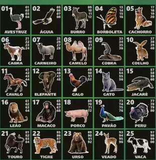 Clã Razuk estudava importação de jogo do “bichinho” e expansão internacional Clã Razuk estudava importação de jogo do “bichinho” e expansão internacional