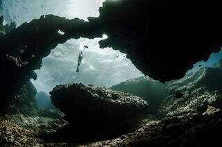 Fan&aacute;tico por oceano, Ruver virou fot&oacute;grafo subaqu&aacute;tico premiado
