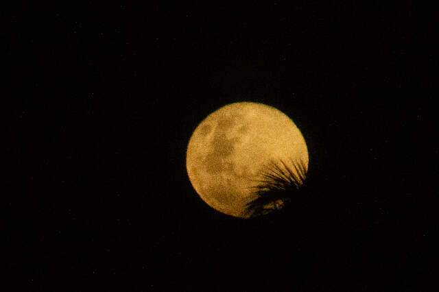 Superlua &eacute; registrada em MS; veja pr&oacute;xima data do fen&ocirc;meno