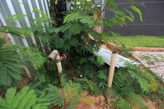 Falta de &aacute;gua no Imol atrasa libera&ccedil;&atilde;o de corpo para sepultamento