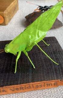 Yta transformou lixo em insetos feitos até com cabo de internet Yta transformou lixo em insetos feitos até com cabo de internet