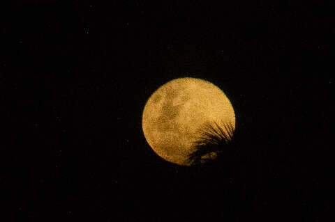 Superlua &eacute; registrada em MS; veja pr&oacute;xima data do fen&ocirc;meno