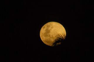 Superlua &eacute; registrada em MS; veja pr&oacute;xima data do fen&ocirc;meno