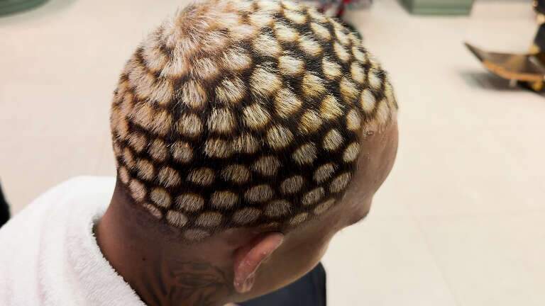 Do Rio para MS: 'Corte da Onça Pintada' conquista os jovens neste verão